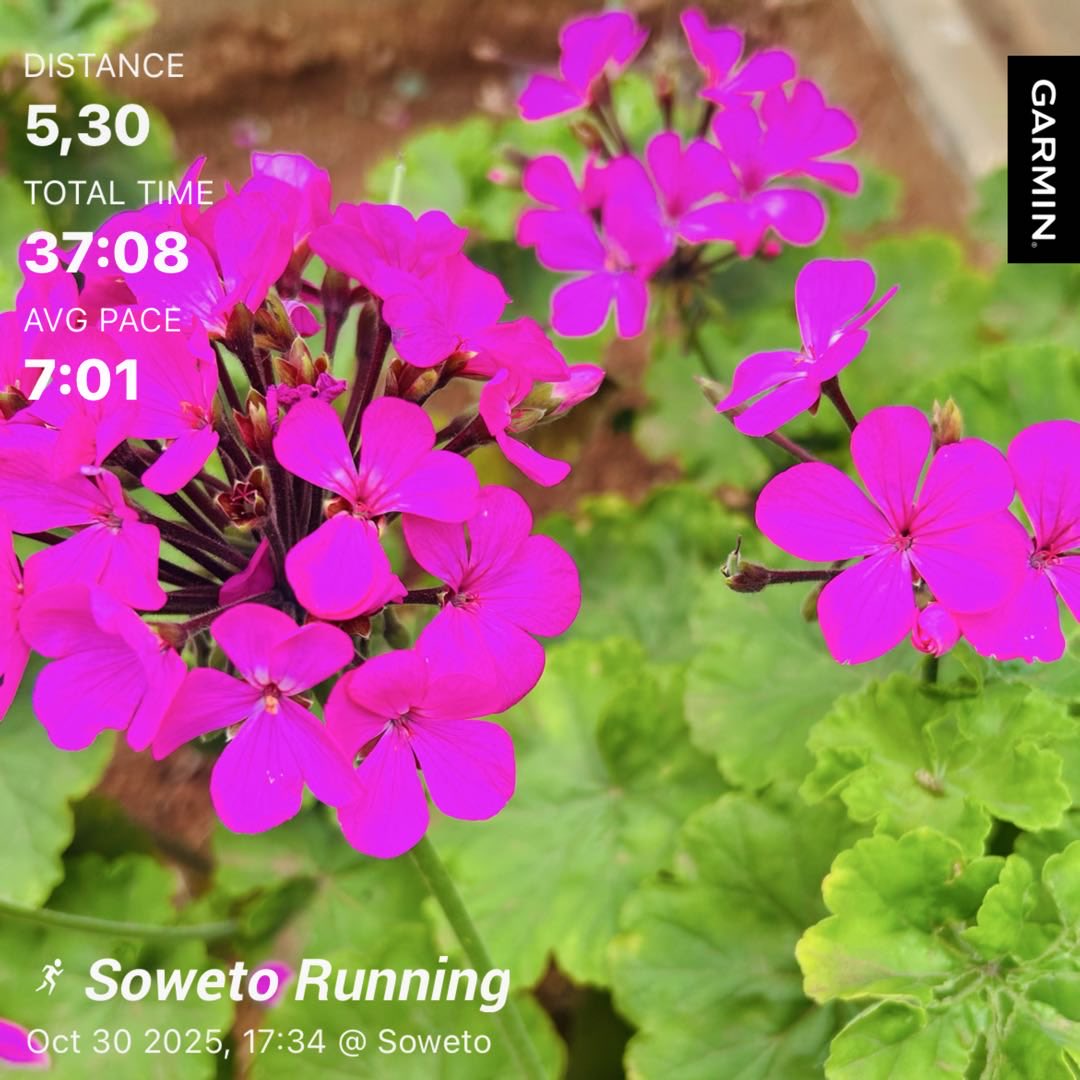 Pale_MissP's tweet photo. Sheila’s Day park run ✅ #DopeRun #RunningWithTumiSole https://t.co/CG8H7glWWO