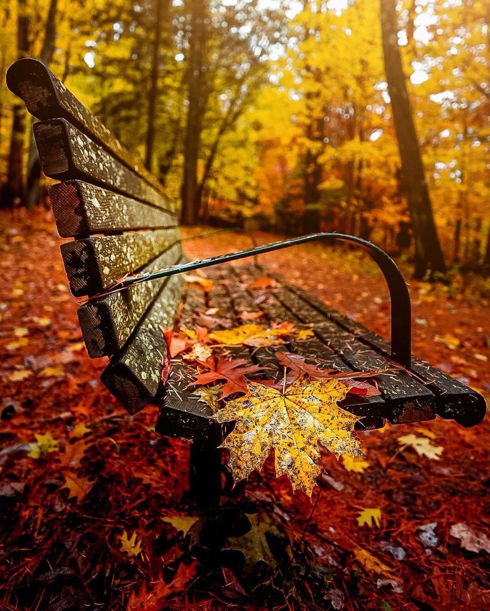 Hello, World! tweet media