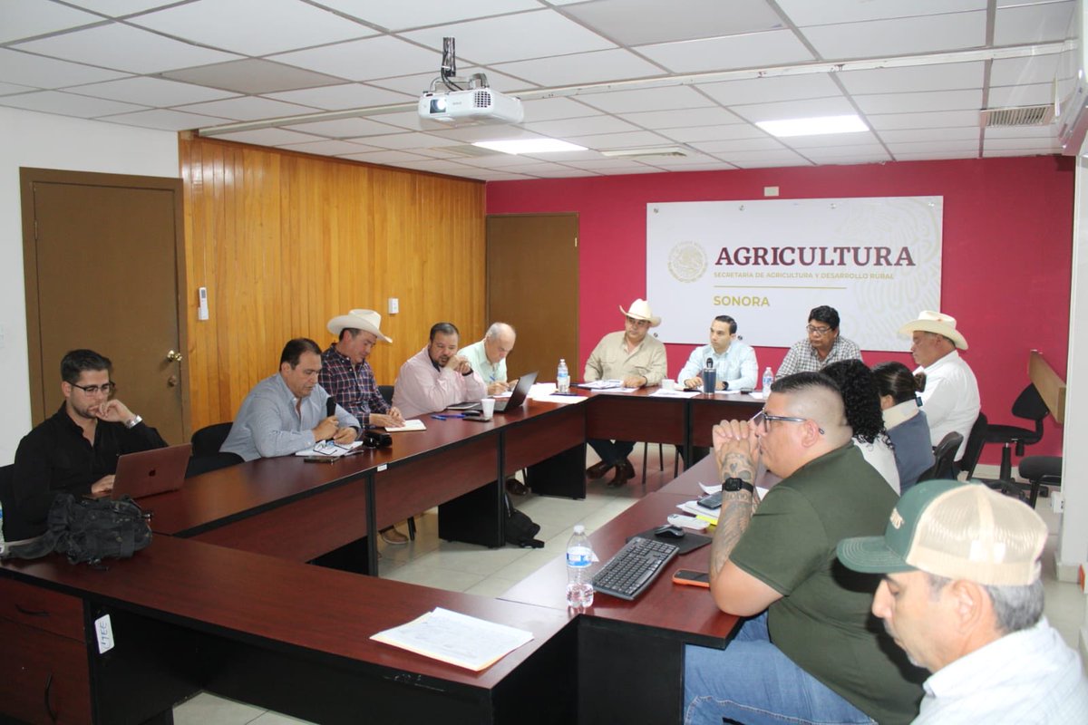 Encabezamos la Primera Sesión Extraordinaria del Consejo Estatal de Seguimiento Operativo (CESO) en Sonora, un espacio de coordinación interinstitucional para revisar acuerdos y definir acciones que permitan mantener el estatus fitosanitario del estado.