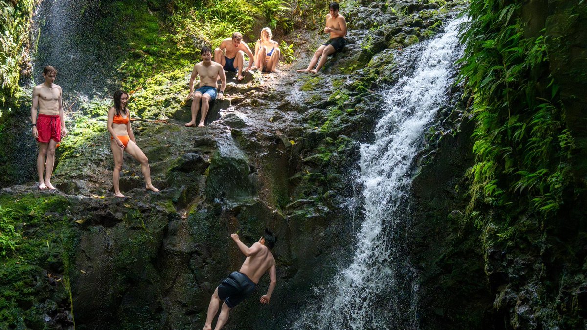 Jeffrey Wang tweet media