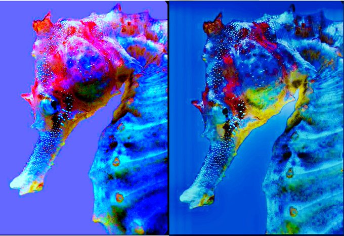 bella03046598's tweet image. #helloweekend #helloween #halloweencostume #itcostume #pennywise #pennywisetheclown #pennywisecosplay #HalloweenMagic