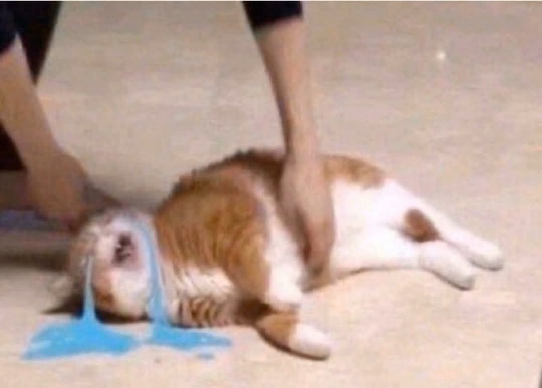 Quiero un modelo 3D pero soy un cero a la izquierda con los programas de modelado y vroid 😭😭😭 pero no tengo money para comisionar AAAAAAAAAAAAAAAAA ayuaaaa 😞😞😞