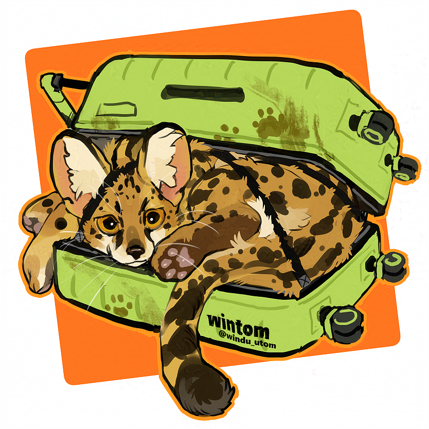 windu_utom's tweet image.