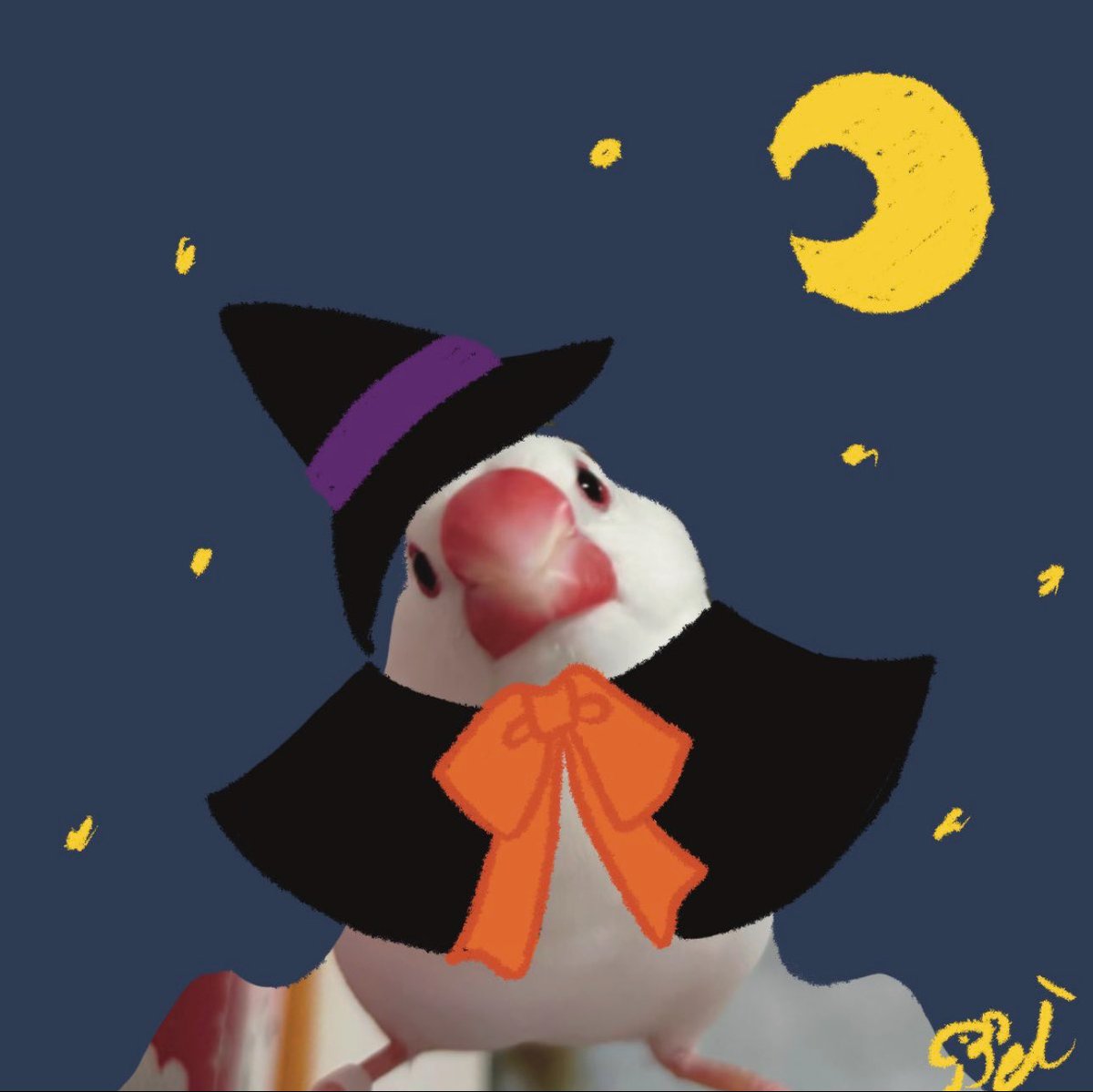 空太郎ページ 空太郎 (@3jZy2RyfgDg59MZ) / Posts / X