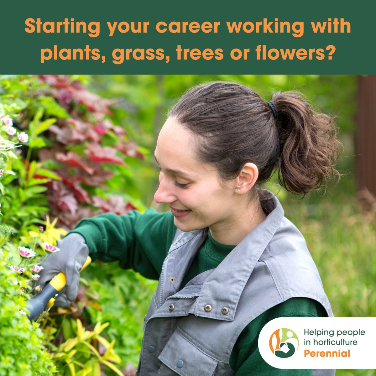 Starting your career working with plants, grass, trees or flowers? 🌱

We’d love to hear from you. Take our 4-minute survey to help shape the right support for the next generation of horticultural professionals: surveymonkey.com/r/7QP8GSH 

#PerennialHelps #GreenCareers