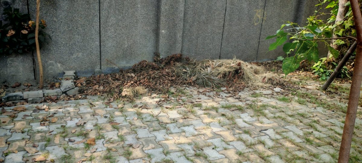 jagmohansngh643's tweet photo. @CeoNoida @dmgbnagar
@noida_authority @CMOfficeUP @myyogiadityanth @journalistAkram 
@noida_authority village Shahdara sector 141 JHS Garhi Shahadra school request Noida authority officials to remove garbage from school https://t.co/F7QGDACZID