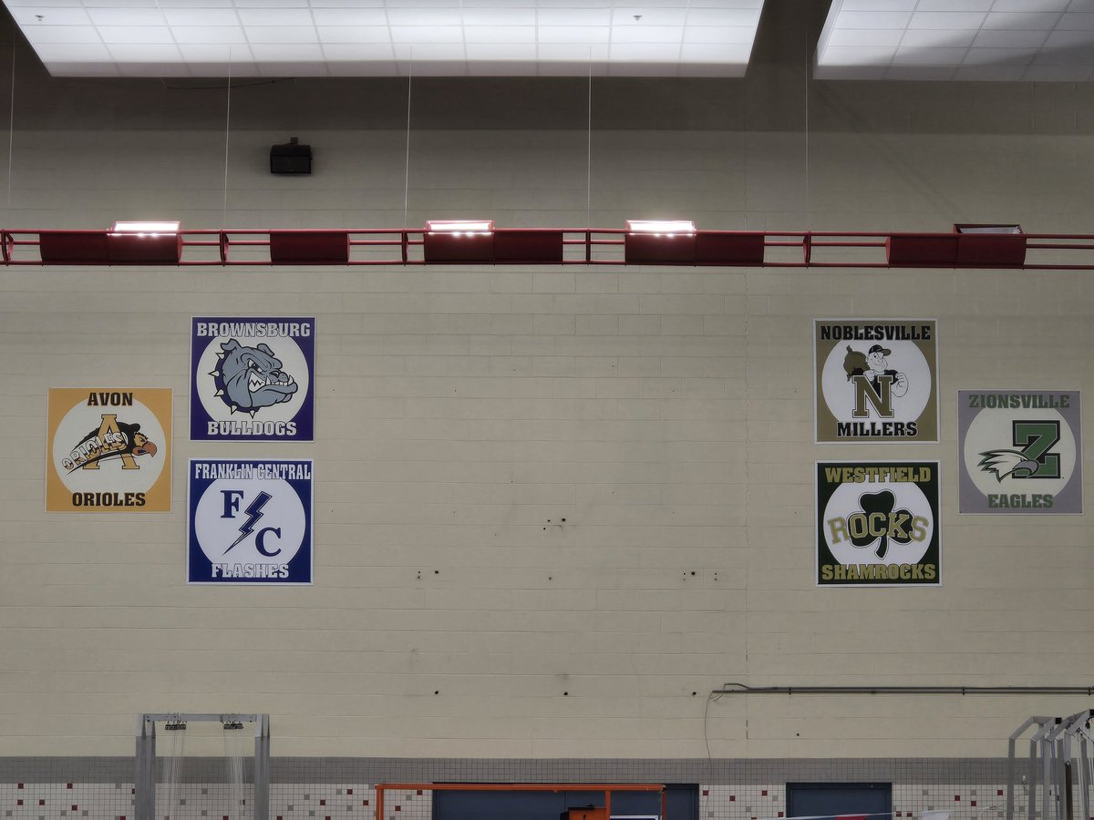 Tiger Diving &amp; Swimming...
New day, new look!
#whatsgointhatspace
#FishersDivingTigers
#FASTDandSTigers