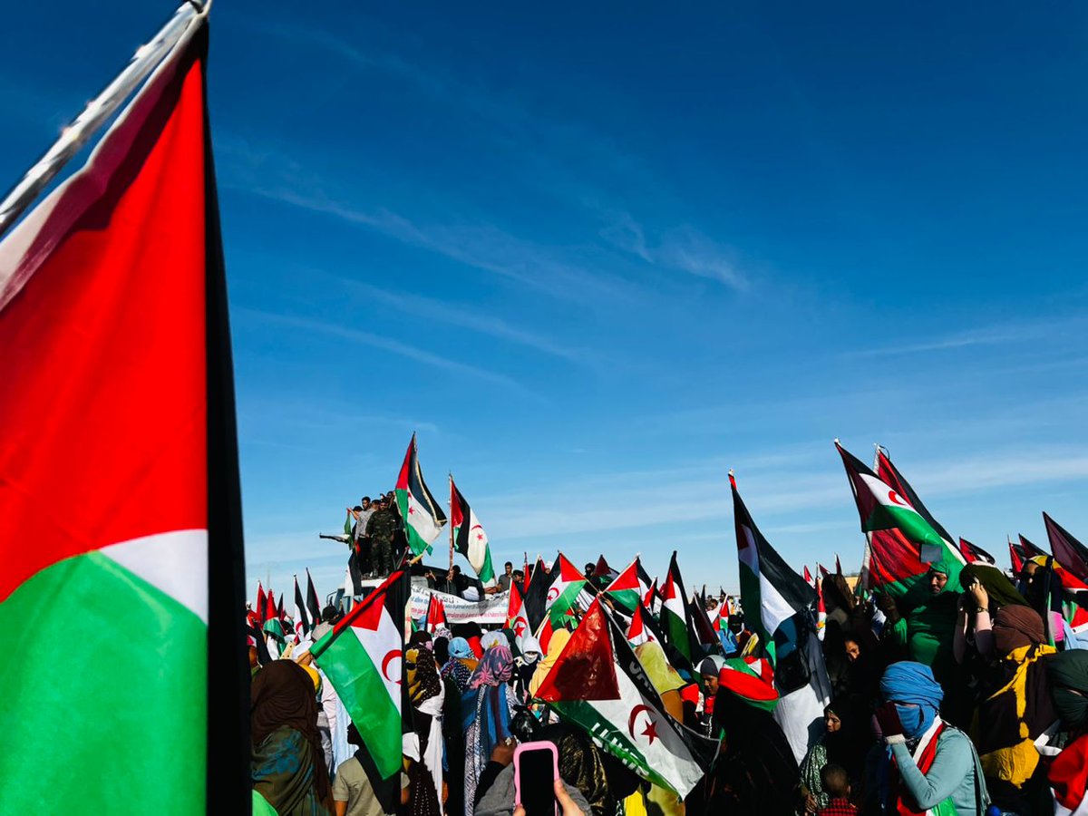lwalilailat31's tweet photo. Fifty years of struggle for independence, not for submission to an unfair American decision
#Notoautonomy
#no_to_trump_decision
#free_western_sahara https://t.co/tXIchbNOrF
