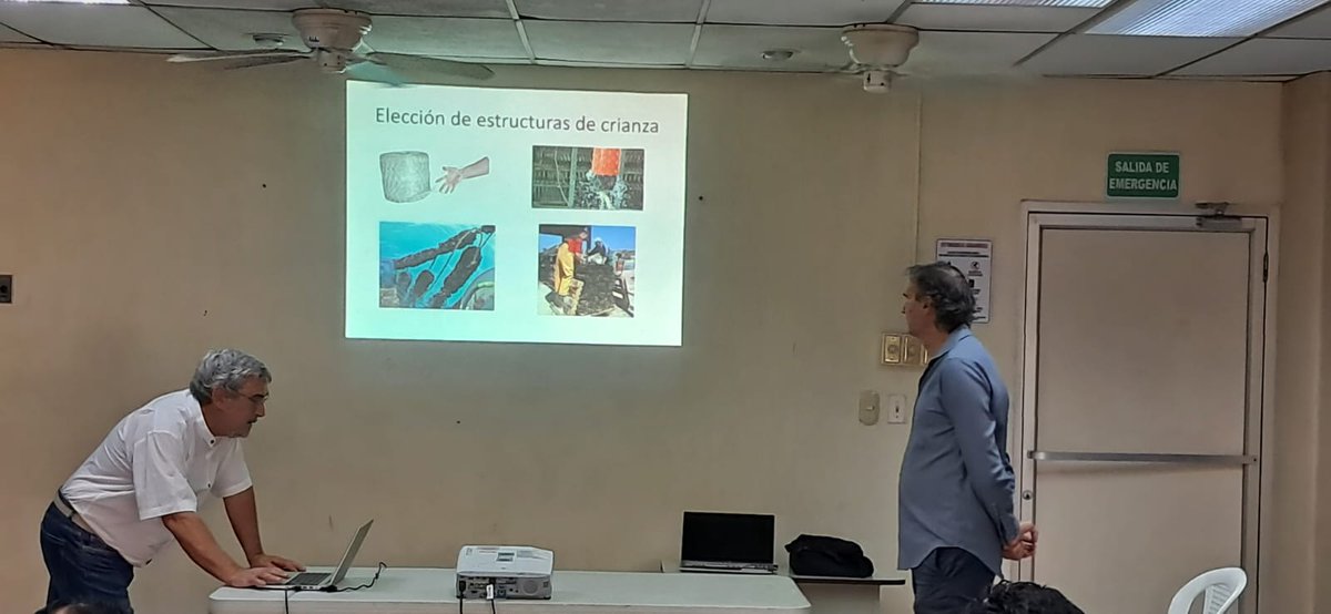 FermanPalacios's tweet image. 🎣 En el marco del #ProyectoPescarte, #CIHEAM, con apoyo de la Agencia Italiana de Cooperación para el Desarrollo, impartió una capacitación sobre el “Programa para técnicos y comunidades pesqueras” dirigida a #CENDEPESCA, #UES, #UNASA, #USAM y #UFG. 🌊🇸🇻
