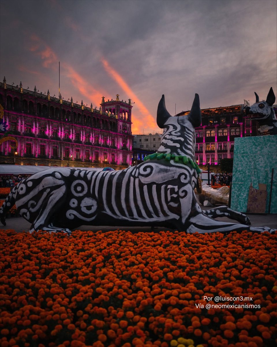 NeoMexicanismos tweet media