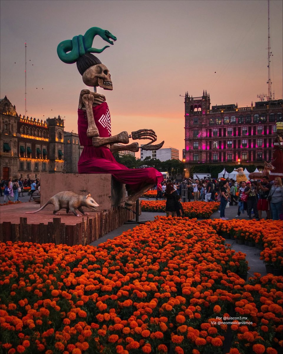 NeoMexicanismos tweet media