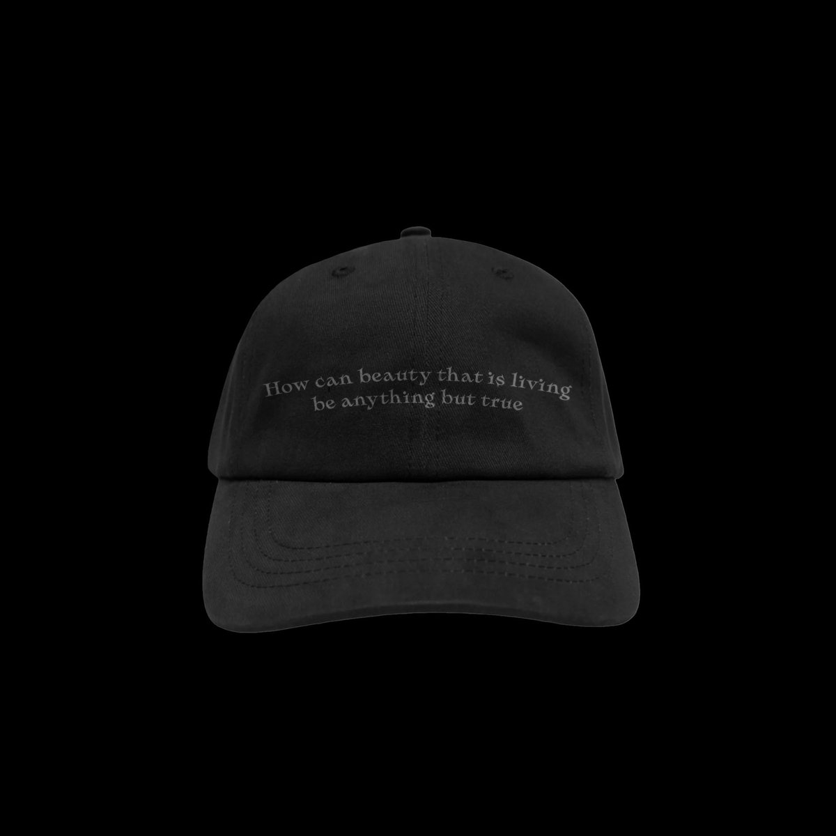 I don’t really post work on here anymore but I’m really proud of this poster &amp; merch ideas for <a href="/bigthiefmusic/">Big Thief</a> 

Not commissioned, just for fun…unless? 👀