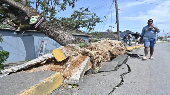 Fallen large tree trunk blocking a street with exposed roots and debris piled up yellow barriers placed around the damaged area several people including a woman in blue top and shorts walking on the sidewalk nearby houses and utility poles visible under a clear sky cracked concrete curb and asphalt road surface evident in the foreground