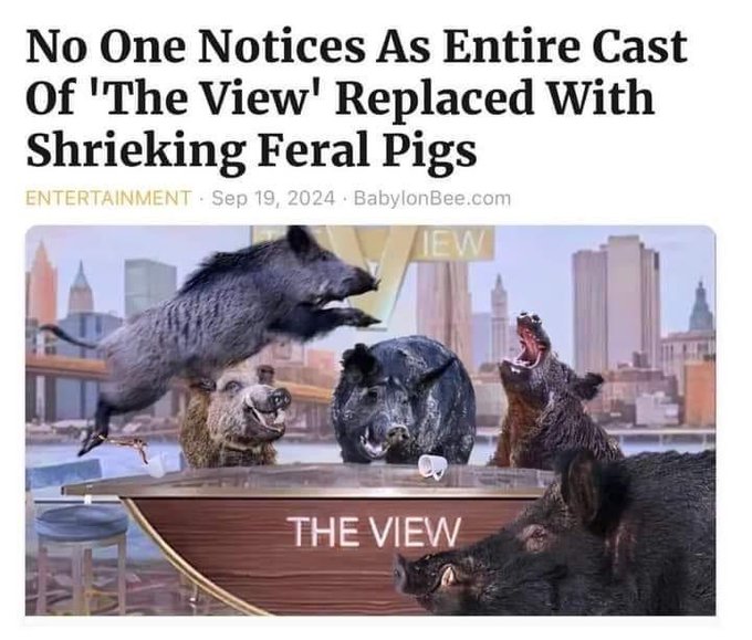 Imagine™ 🇺🇸 MAGA is the party. tweet media