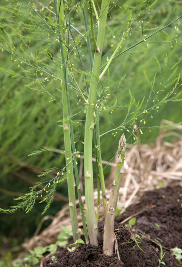 IraPeshku's tweet photo. Some days you win.
Some days you learn.
Either way, you grow. 🌱 https://t.co/IexopokLbs