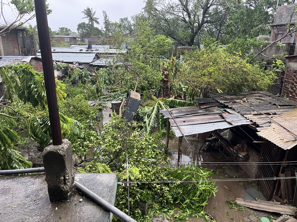 🦇BД✞îCℍîCД🦇 tweet media