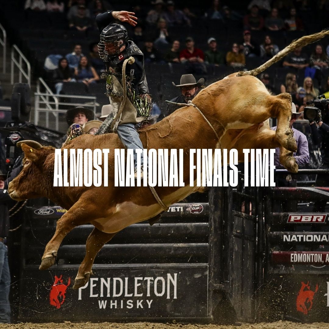 It’s almost that time… the 2025 PBR Canada National Finals is only two weeks away. 💥 

Round up the crew and lock in your seats — tickets still available >> ticketmaster.ca/artist/821993?…