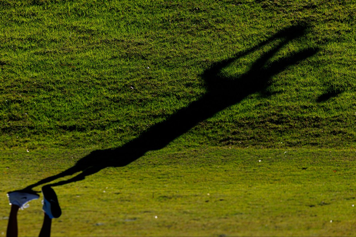 David Gray tweet media