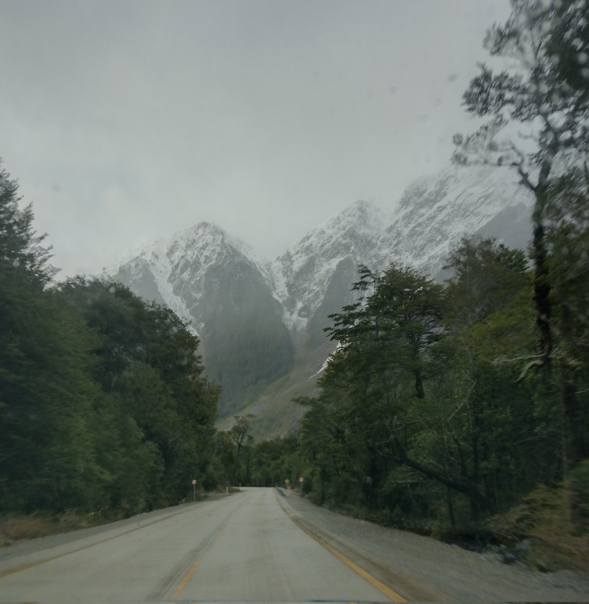 BachmannIsabel's tweet image. Bellos caminos de la Patagonia chilena, región de Aysén.Chile