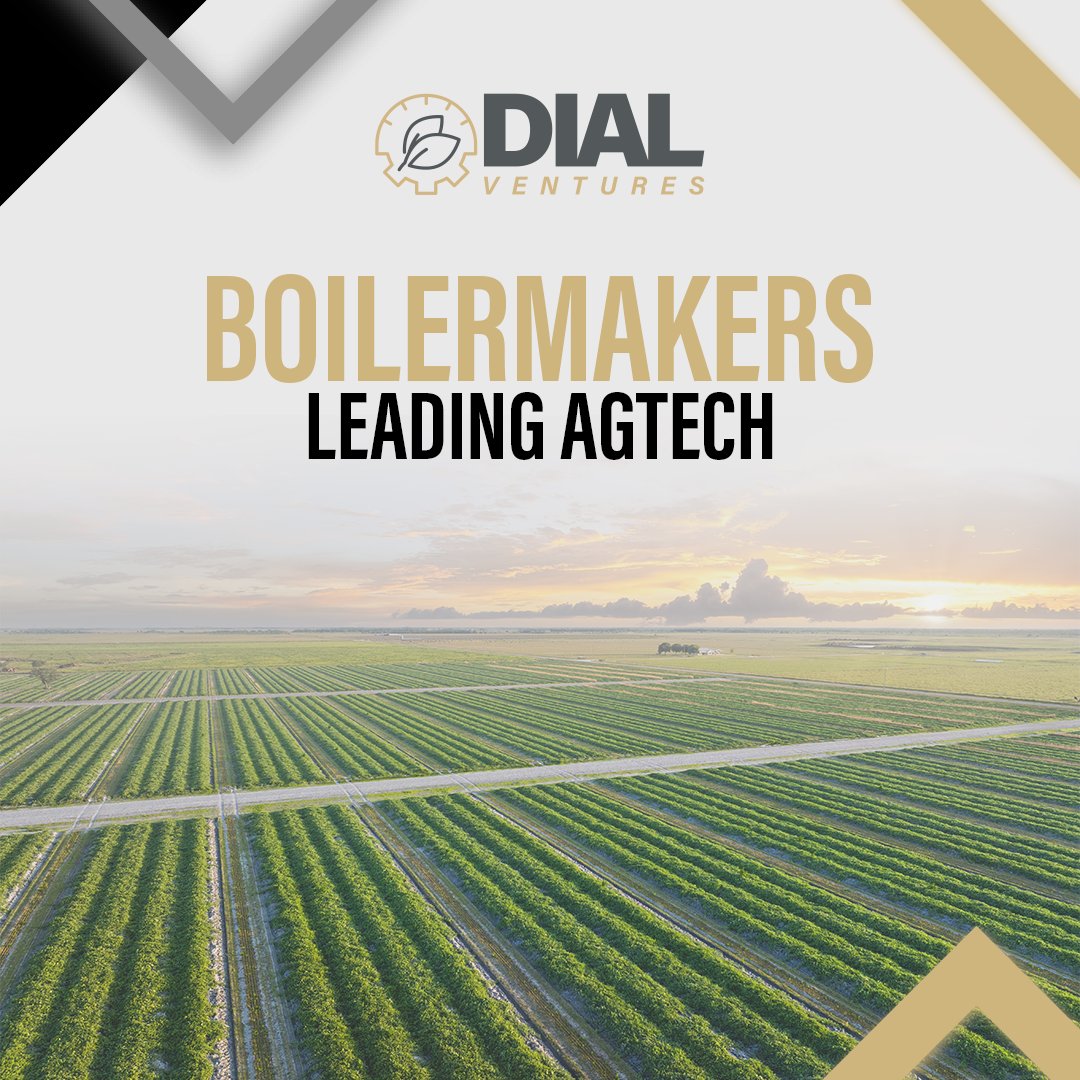 Boilermakers, transform global food systems! DIAL Ventures offers tax-advantaged ways to foster AgTech innovation. Join fellow @LifeAtPurduealumni impacting agrifood's future. 

Connect with Tim Dixon at tjdixon@purdue.edu to learn how you can get involved.