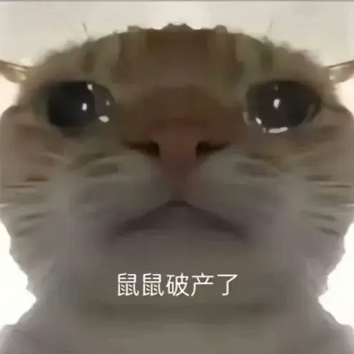 肥肥吃货 tweet media