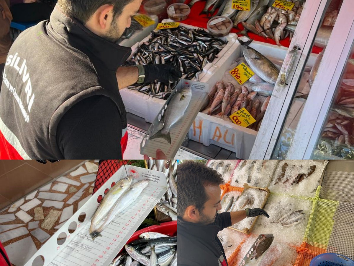 ‼🐟 SU ÜRÜNLERİ KONTROL GÖREVLİLERİMİZCE BALIK BOY VE YASAKLI TÜR DENETİMLERİ DEVAM EDİYOR🐟‼

➡facebook.com/silivri.tarim/…

<a href="/SilivriTarim/">Silivri İlçe Tarım ve Orman Müdürlüğü</a> 
<a href="/isttarimorman/">İstanbul İl Tarım ve Orman Müdürlüğü</a> 
<a href="/TCTarim/">T.C. Tarım ve Orman Bakanlığı</a> 
<a href="/bsgmtr/">Balıkçılık ve Su Ürünleri Genel Müdürlüğü</a>