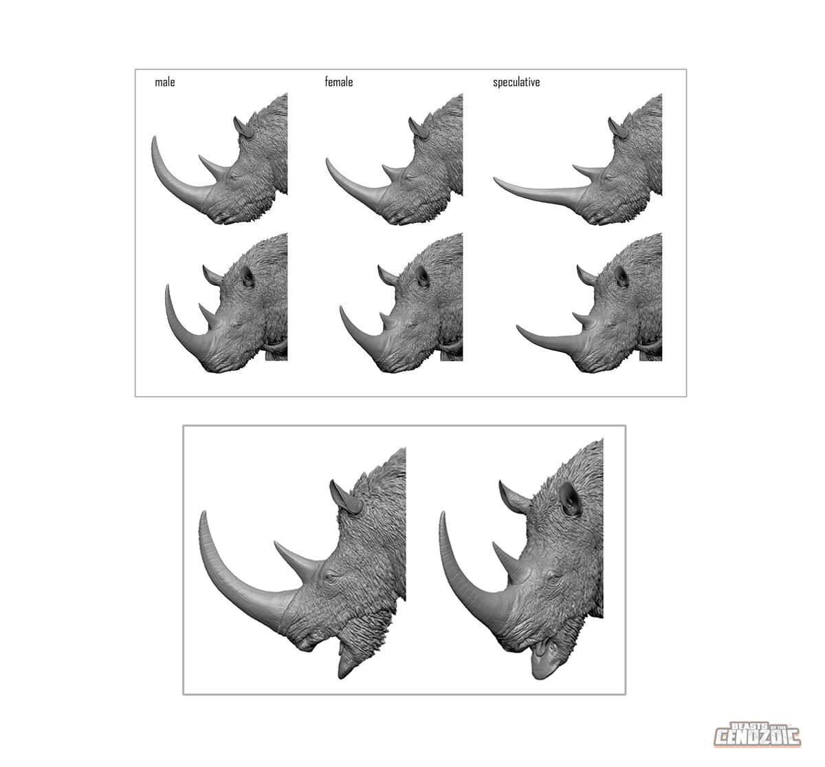 Today we have an in-depth look at the construction and design of