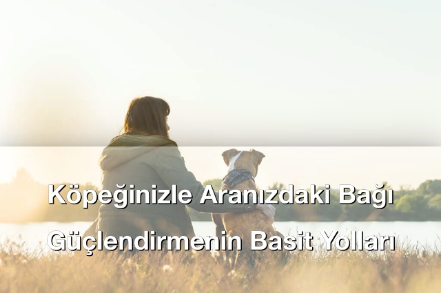 Köpeğinizle Aranızdaki Bağı Güçlendirmenin Basit Yolları
bilgi.net/2025/10/kopegi…

#bilgi #bilgisitesi #bilginet #hayvanlaralemi