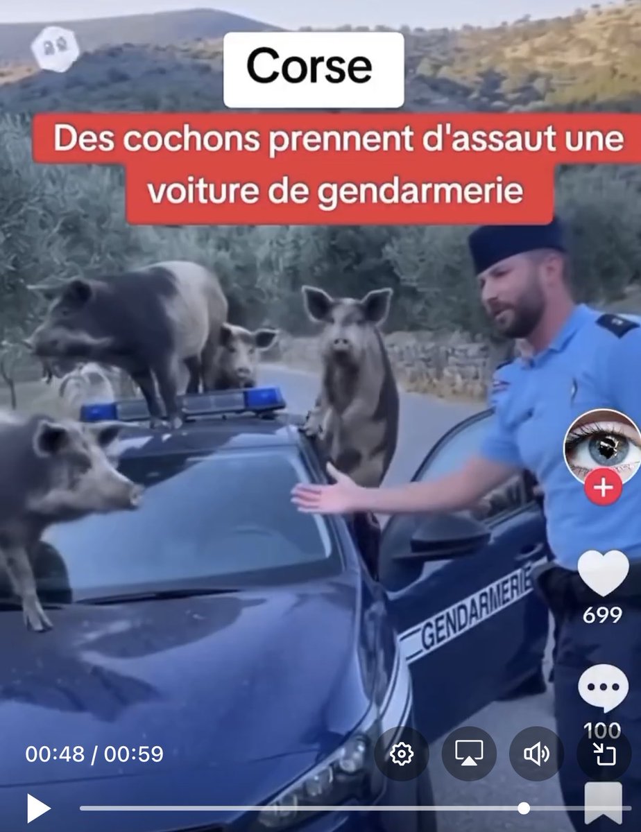 CibidiFr's tweet photo. @lisibgs Le logo du logiciel d’IA apparaît littéralement à la 48ème seconde, en haut à gauche. https://t.co/FsJJXVFCfs