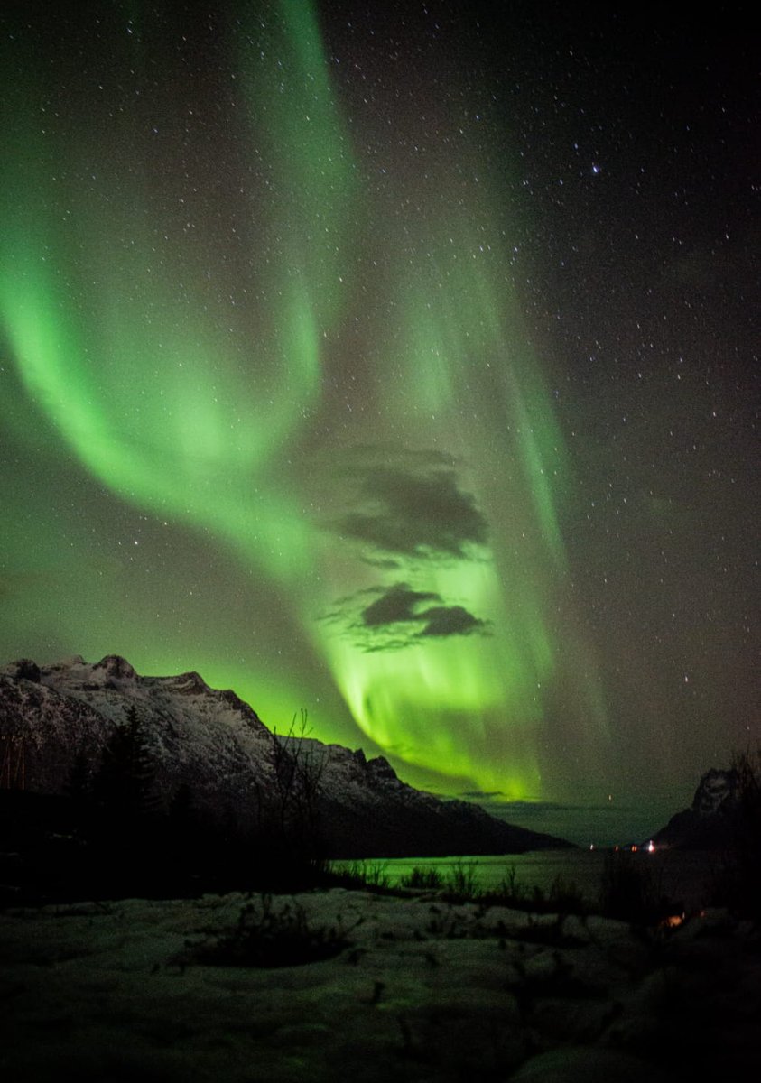 Mark Sutherland tweet media