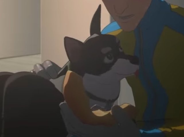 localdragooner's tweet image. Beef appreciation post because he's so cute and everyone needs to love him