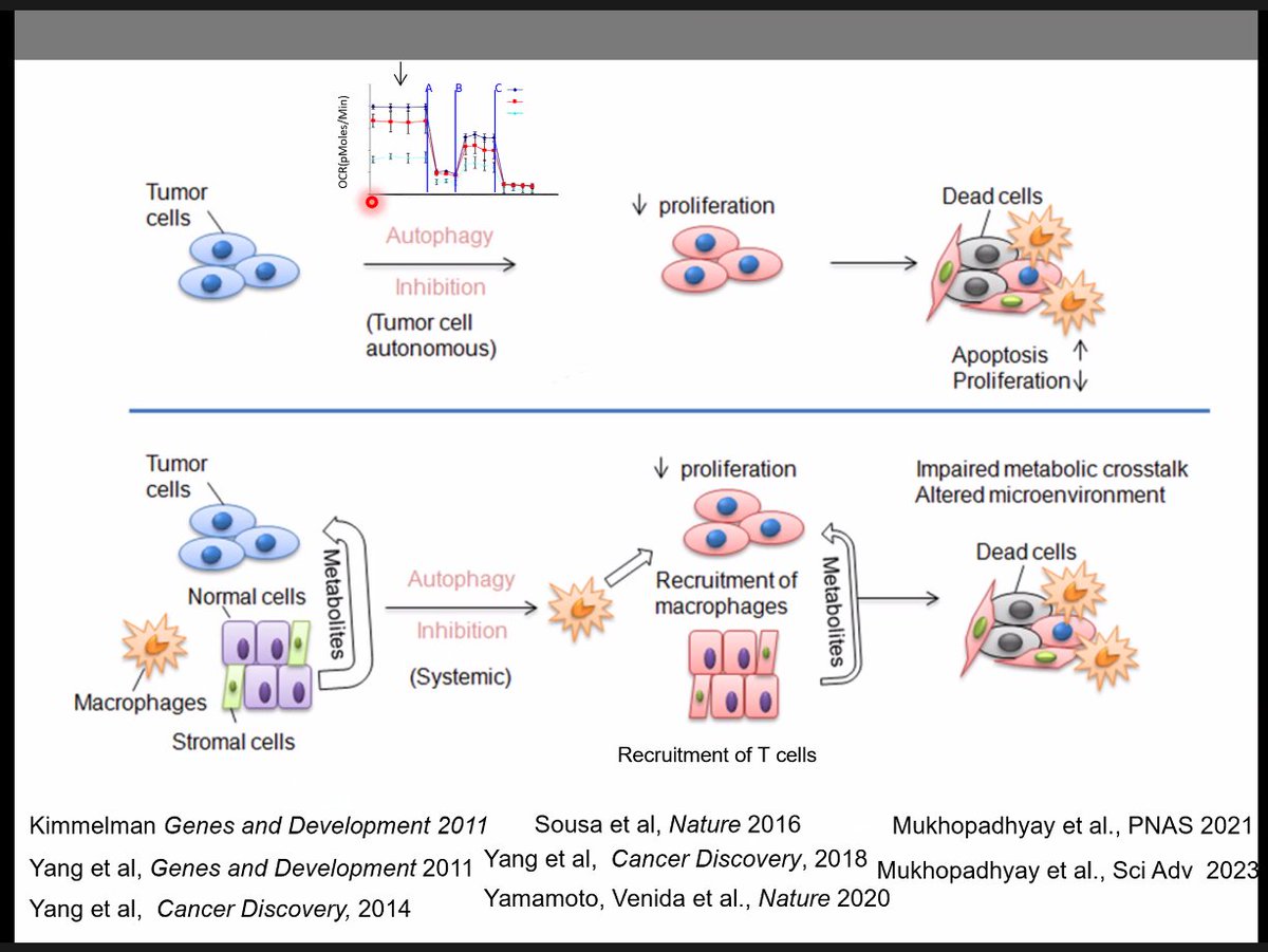 Very special <a href="/MassGenBrigham/">Mass General Brigham</a> Cancer Institute Grand Rounds lecture, introduced by <a href="/DrPaulNguyen/">Paul Nguyen</a>: 

🔥Alec Kimmelman, MD PhD, <a href="/HarvardRadOnc/">Harvard Radiation Oncology Program</a> Alum🔥

Very proud of him, now CEO &amp; Med School dean at <a href="/nyulangone/">NYU Langone Health</a> 👍

Amazing contributions to understanding and targeting metabolism of