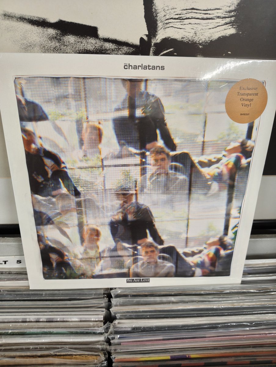 Record Collector tweet media