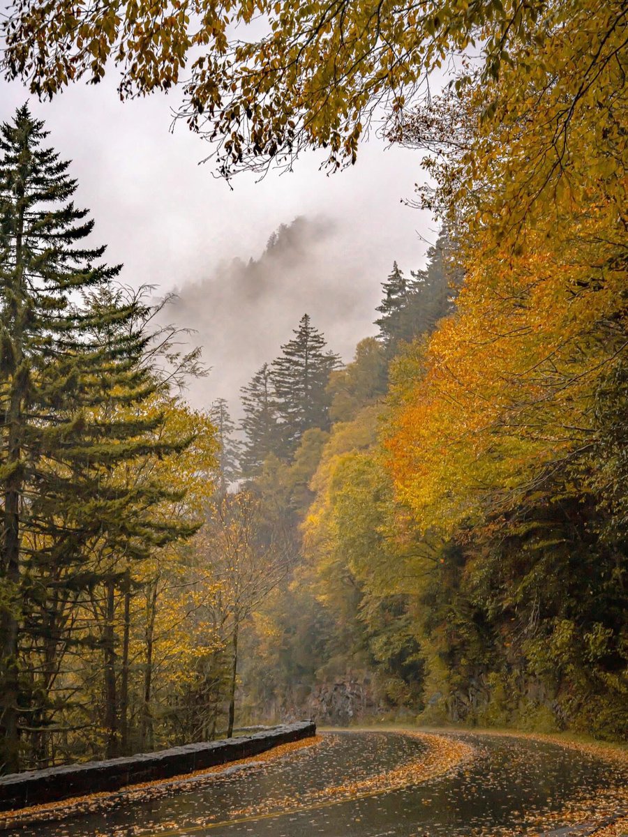 As November draws near, let’s take a moment to pause and reflect on all that we have to be thankful for. 🍂 In the busyness of life, it’s easy to overlook the blessings that surround us — family, friends, community, and the quiet moments of grace each day brings.