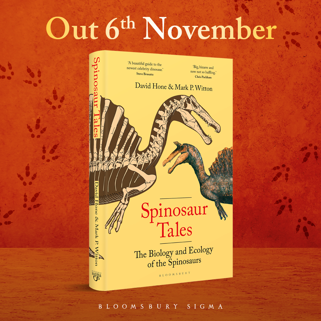 sigmascience's tweet image. Spinosaur Tales explores the exciting, sometimes controversial world of spinosaur science.

With stunning illustrations, @Dave_Hone and @MarkWitton present the latest views on the evolution, anatomy and lifestyles of an enigmatic yet charismatic dinosaur group.