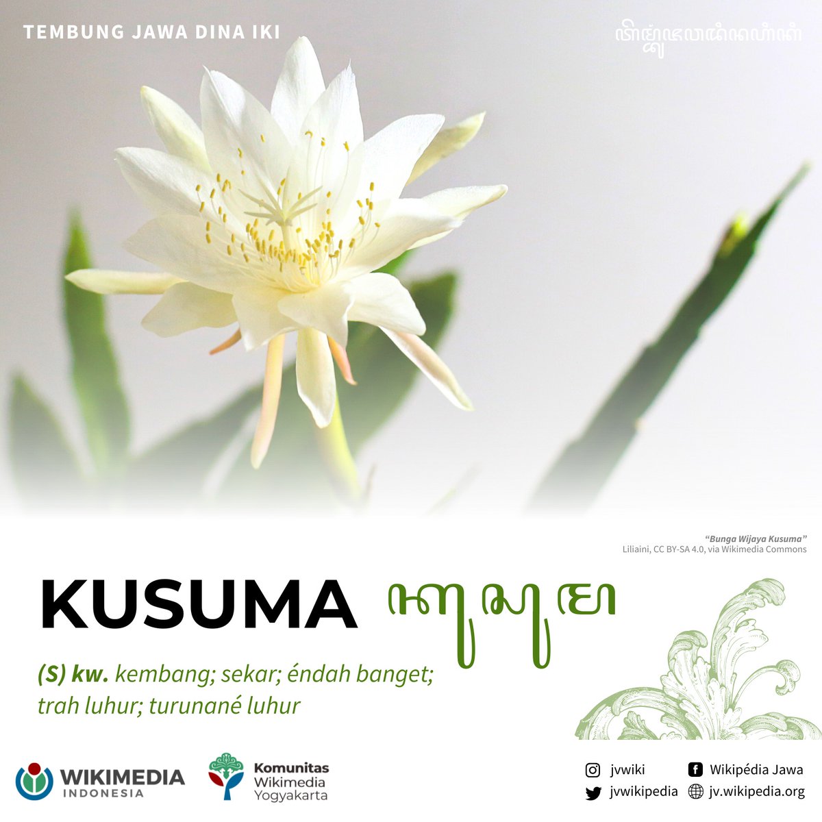 jvwikipedia's tweet image. Kanca Wiki pesthinipun asring mireng tembung &apos;kusuma&apos; wonteng salebeting lelagon punapa déné karya kasusastran. Tembung kawi punika kapendhet saking basa Sangsekarta ingkang ateges sekar.

#Javanese #Wiktionary #Wikipedia #Jawa
#Kusuma #Sekar #Kembang