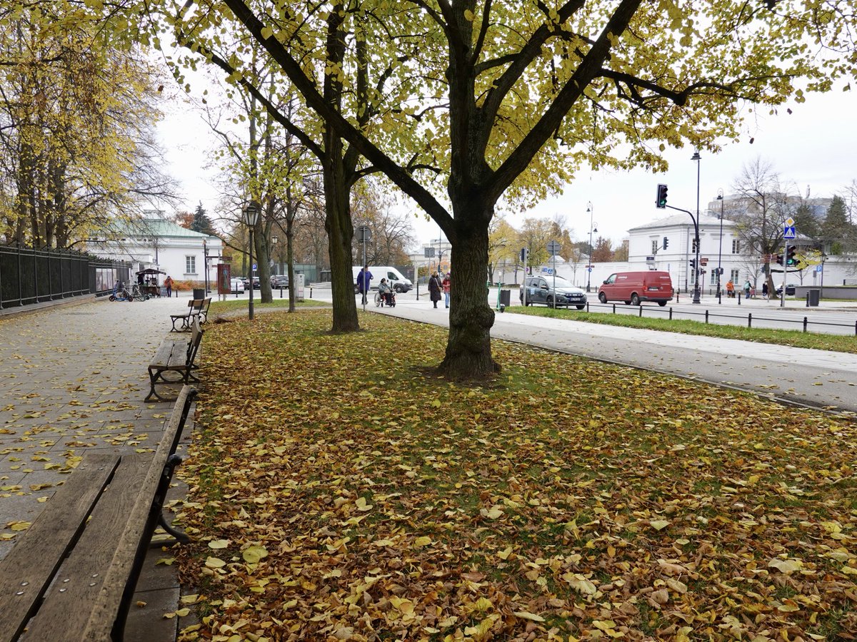 Varsovia en otoño 🍁 🇵🇱