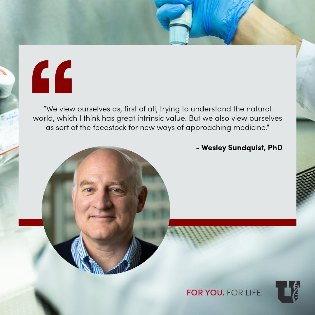 Did you know a new HIV-prevention drug started with research at University of Utah Health? Federally funded, curiosity-driven science raised a pivotal question: could targeting the HIV capsid block infection?
Learn more:  bit.ly/4no8P4m