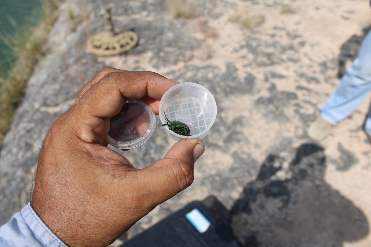 SMA Coahuila tweet media