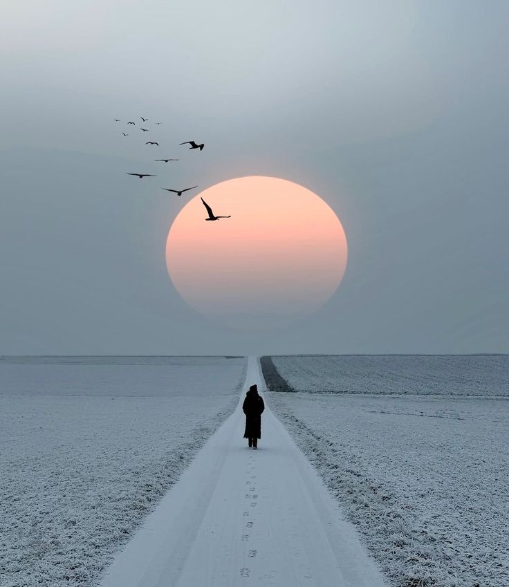 gaso365's tweet image. Sometimes, it’s not the paths that need to change — it’s you. ✨🌿
#DeepThoughts #Emotions #Silence #Philosophy #PeaceOfMind