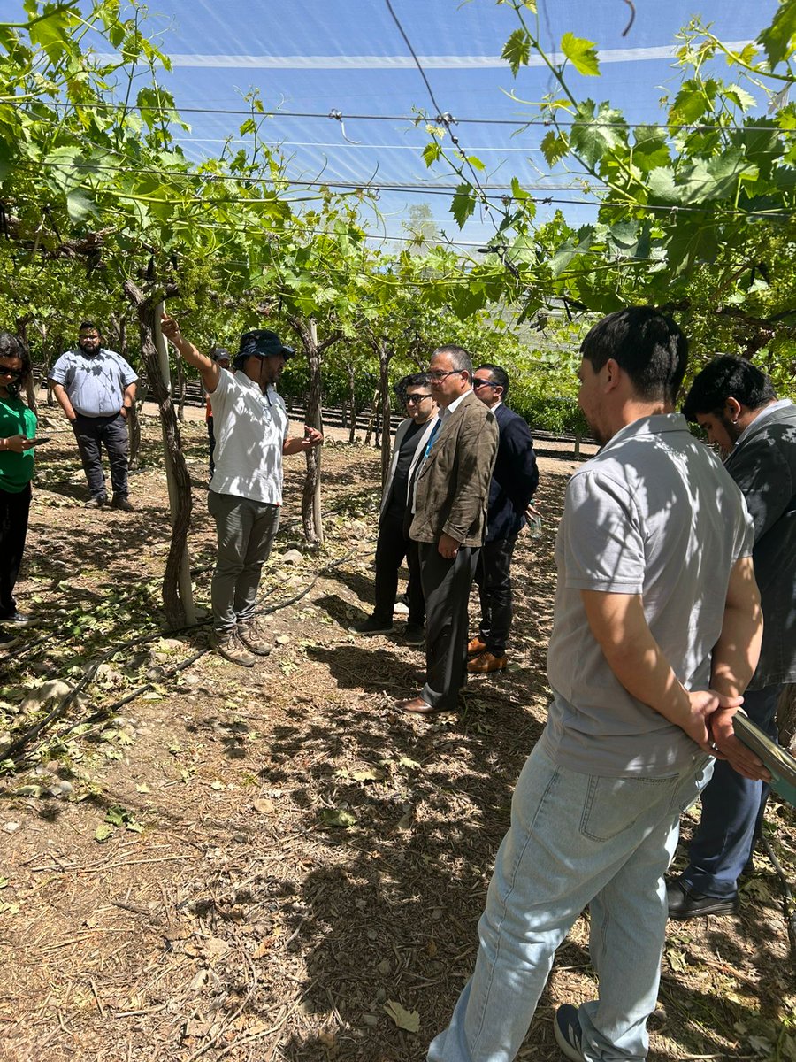 💧 #GestiónHídrica | Hoy llegamos hasta Calle Larga para participar de un Día de Campo sobre el proyecto PATI de <a href="/corfovalparaiso/">Corfo Región de Valparaíso</a> "Uso Eficiente del Agua en Nuevas Variedades y Portainjertos de Uva de Mesa en la Zona Central" liderado por <a href="/INIA_LaCruz/">INIA La Cruz</a>