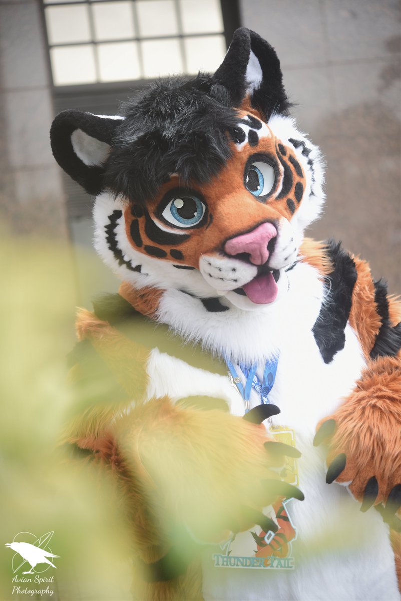 How could I forget yesterday?
It was #InternationalCatDay and I missed it!!

Better late than never I guess??
🎨: <a href="/KeidaArts/">🌸 ▪ Keida Arts ▪</a> &amp; Grumpy Griffin Creations
📷: <a href="/_hobber/">hobber</a> &amp; <a href="/spiritavian/">Avian Spirit Photography</a>