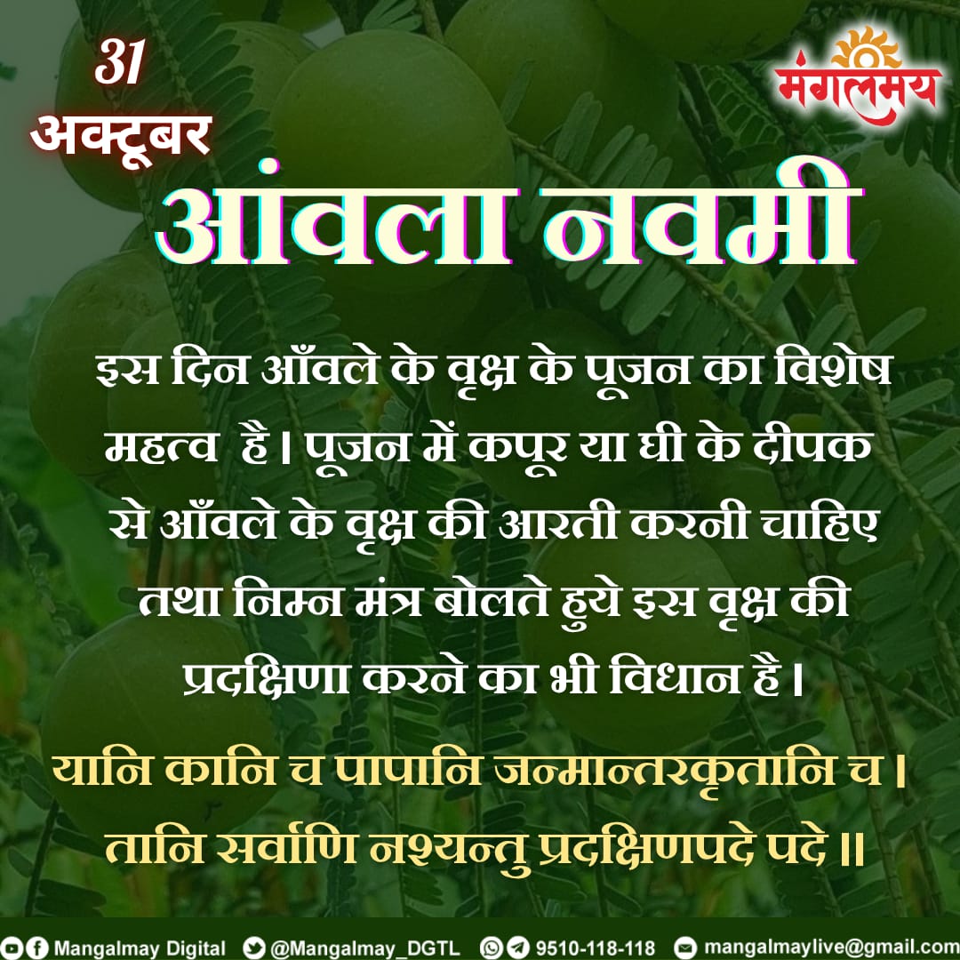 Mangalmay_DGTL's tweet photo. आंवला नवमी पर जरूर करें यह प्रयोग ।
#mangalmaydigital #AmalaNavami #tips #tithi #haribol #navami #tithi
#sanatandharma https://t.co/bKbqB2zWGY