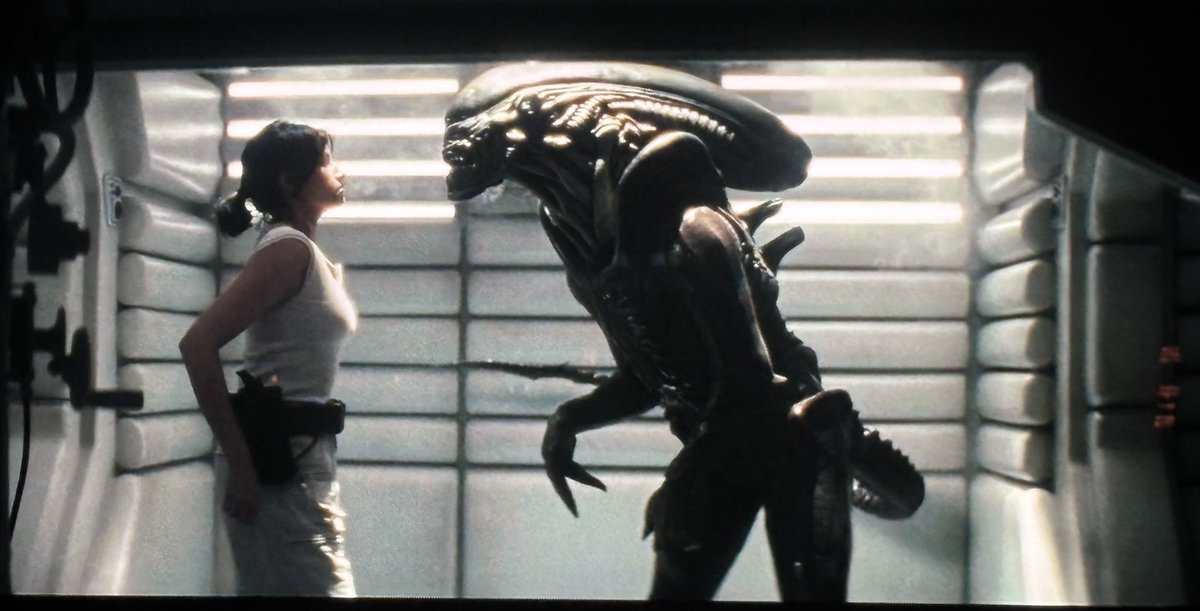 Xenomorph2099's tweet photo. @Terrordome3K @mjgodzilla100 Granted, it's not my favorite design in the world either, but there are worse fates than '97/'04/'07 &amp; '17.

AvP as a whole was going to be something more resembling the comics, which is why I'm glad Badlands is going the way it is. https://t.co/yjbJ9Q6txa