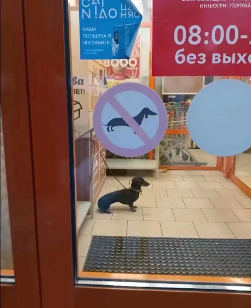 twaniimals's tweet image. 