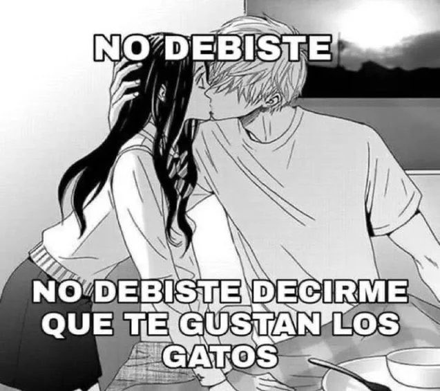 No debiste mandar memes de gatitos