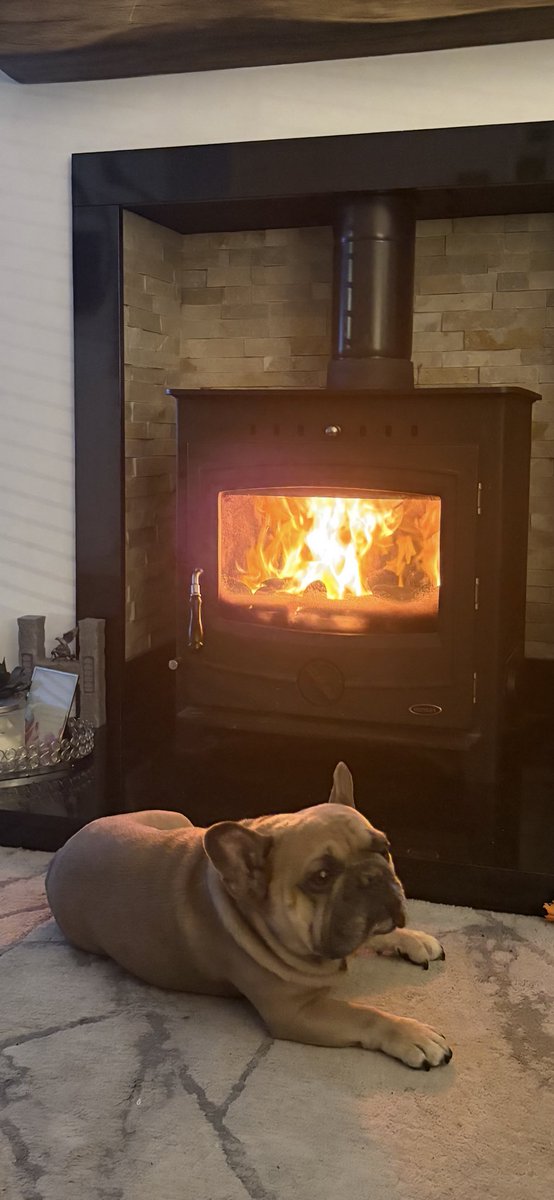 Eamonnmcn's tweet photo. Not moving anywhere tonite!!! https://t.co/CuigVVhikS