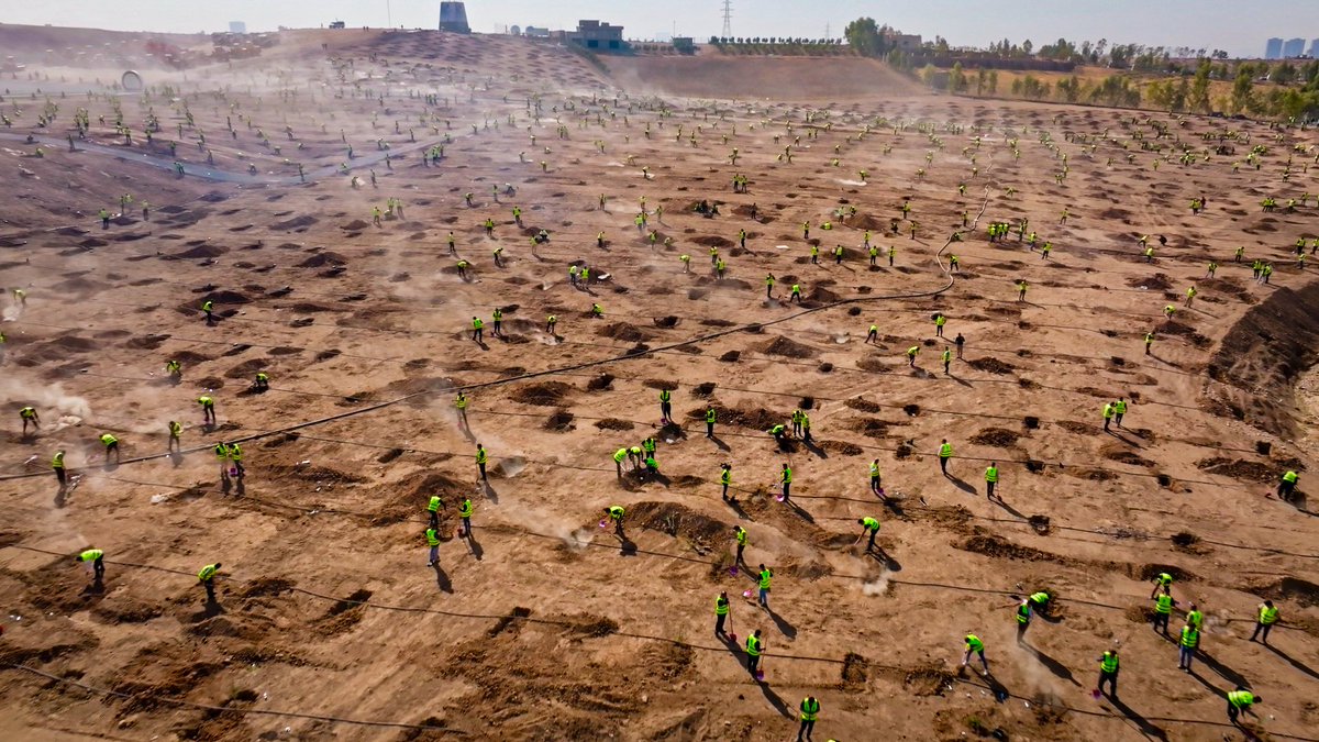 Of all the initiatives, this one is special. Prime Minister <a href="/masrourbarzani/">Masrour Barzani</a> launched the Erbil Green Belt today — a project to plant seven million trees and surround our capital with life, color, and fresh air. #kurdistan