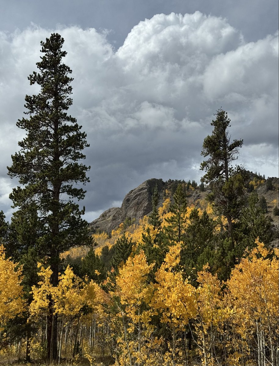 D Miller tweet media