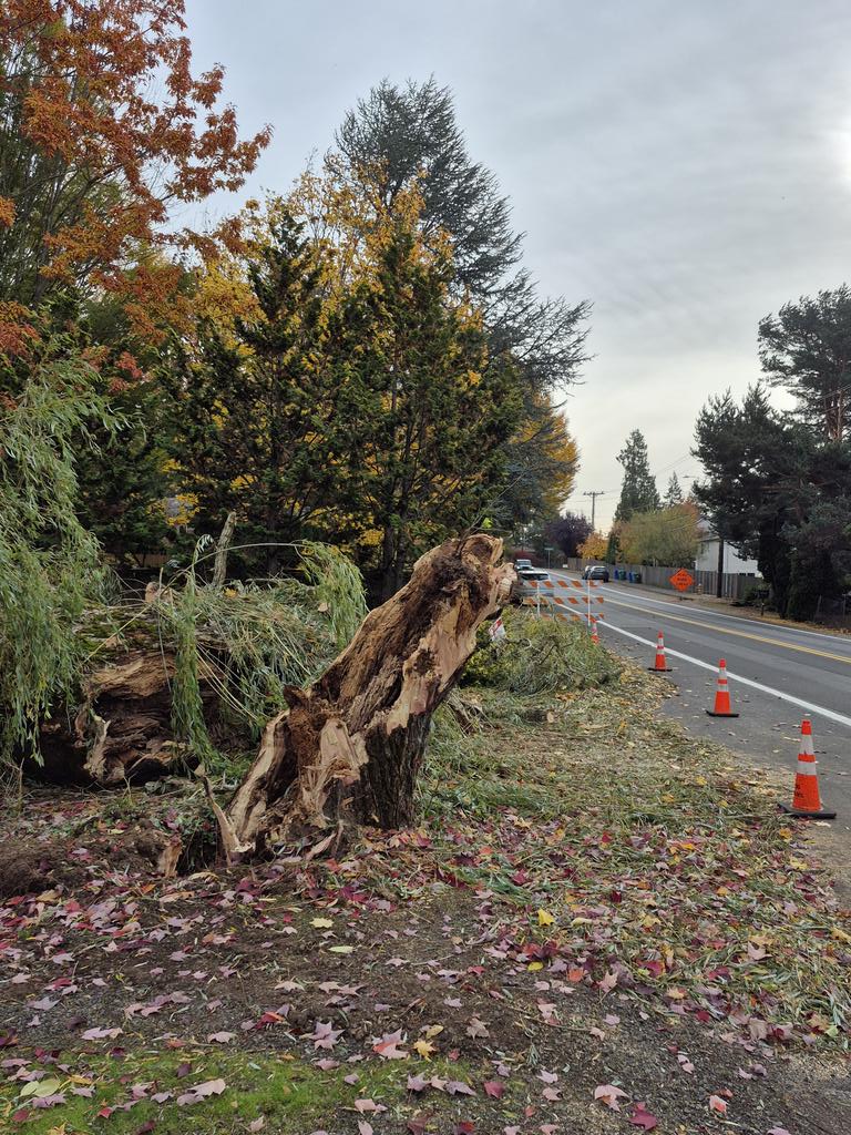 chriscabe3's tweet image. Sure it&apos;s a windy morning today in #greshamOR SE Powell Valley rd #orwx @fox12oregon @CamilaOrtiTV @WeatherLadyKZ @major_weather
